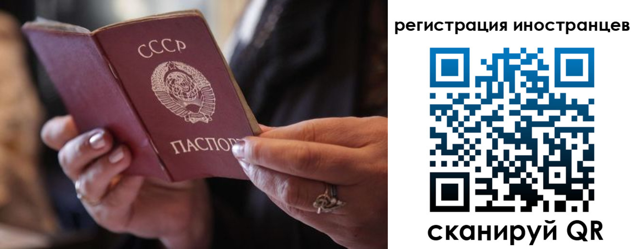где прописаться в Сосновке